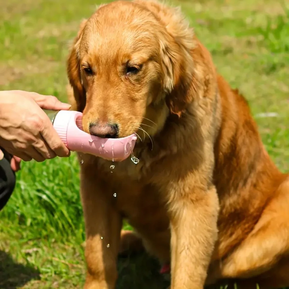 Portable Dog Water Cup, Outdoor Travel Feeding Cup, Pet Water Dispenser, Food Supplies